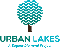 Urban Lakes